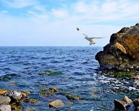 Lanzheron Odesa